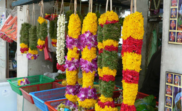 FLEURS OFFERTES AUX DIEUX ET DÉESSES DANS LA POOJA