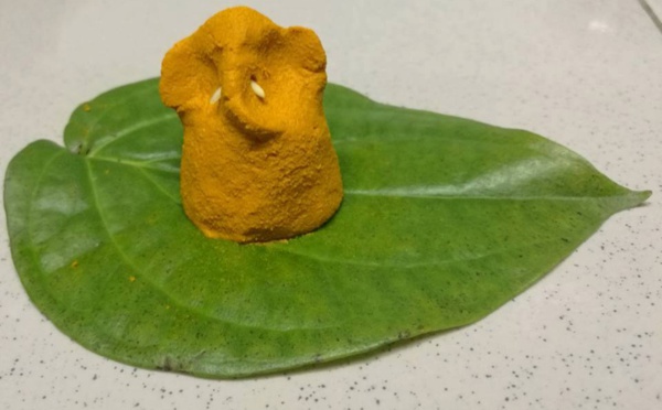 Pourquoi le curcuma (Pasupu) est-il considéré comme saint en Inde et à quoi sert-il ?