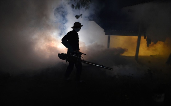 Dengue : le Sri Lanka envoie l’armée contre les moustiques