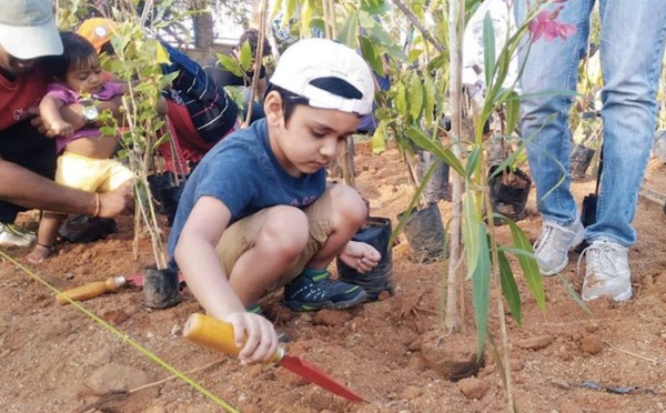 Record battu pour l’Inde : 66 millions d’arbres plantés en 12 heures !