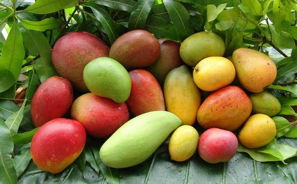 AVANTAGES DE MANGER DE LA MANGUE PENDANT LA GROSSESSE