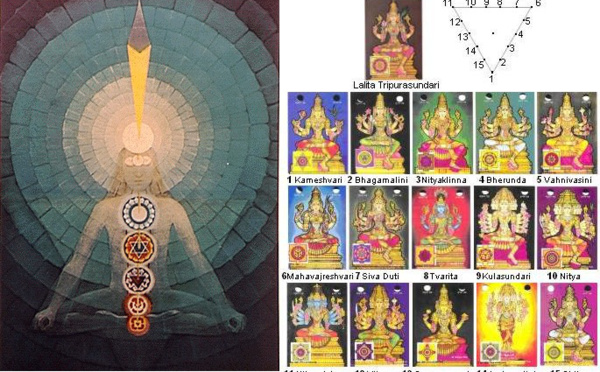 LES QUINZE NITYAS 