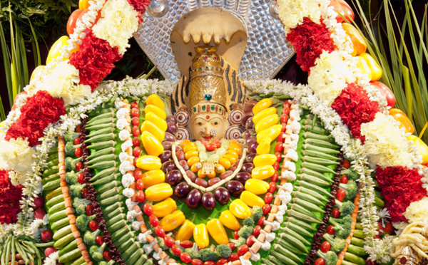 DEVI SHAKAMBARI