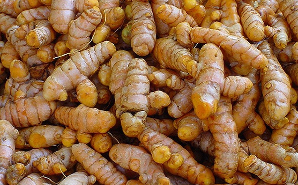 LE CURCUMA ET LES FEMMES 