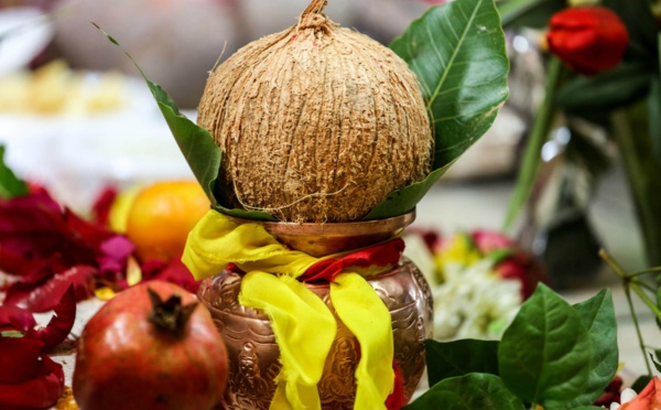 PARIHARAM : LA VÉRITÉ SUR LA NOIX DE COCO