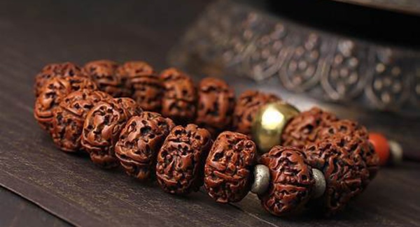 RUDRAKSHA : L'OEIL DE SHIVA