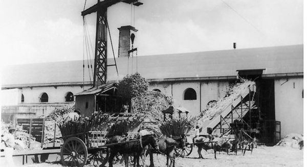 5 RÉVOLTES MALBARS CONTRE LE SYSTÈME ESCLAVAGISTE À LA RÉUNION