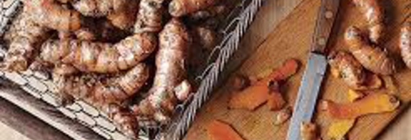 POURQUOI LE CURCUMA EST-IL IMPORTANT DANS LA CUISINE INDIENNE ?