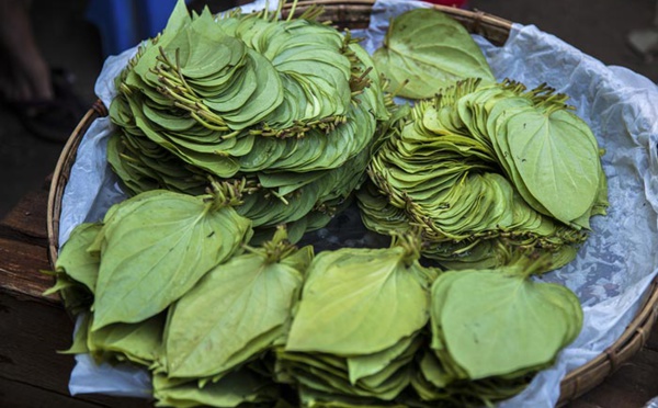 POURQUOI LE BETEL (PAAN) EST-IL SI IMPORTANT DANS L'HINDOUISME ?