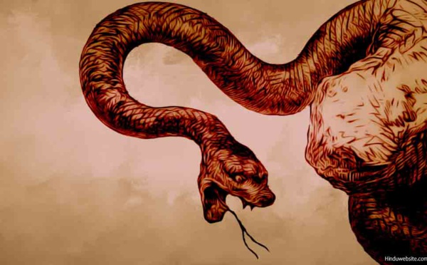 SIGNIFICATION DU SERPENT AUTOUR DU COU DE SHIVA