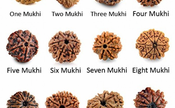 AVANTAGES DES DIFFÉRENTES FACES DU RUDRAKSHA