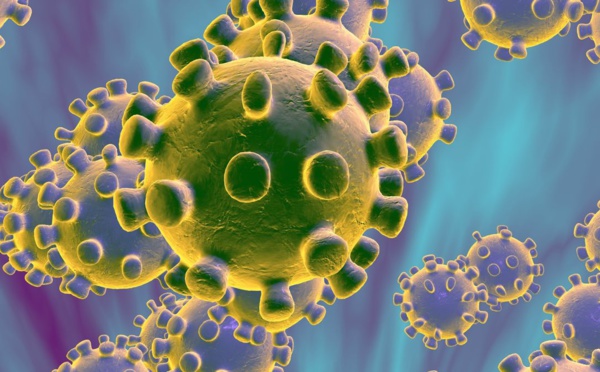 ALERTE CORONAVIRUS : LA PANDÉMIE MONDIALE 