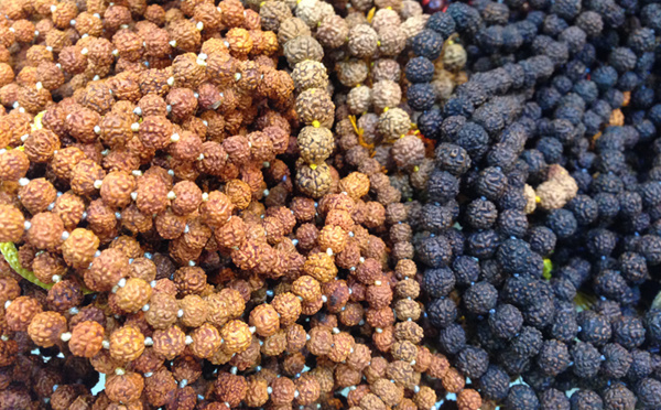 QUEL EST LE MEILLEUR RUDRAKSHA À PORTER ?