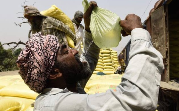 INDE : DES CHALEURS RECORD FRAPPENT L'INDE, LES HABITANTS SE PROTÈGE D'UNE CANICULE HISTORIQUE