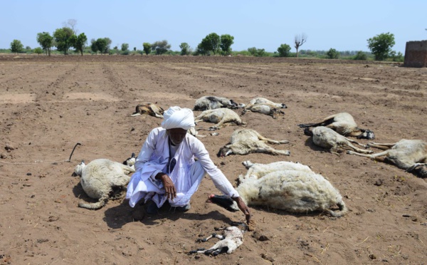 LE RÉCHAUFFEMENT CLIMATIQUE : L'INDE ET LE PAKISTANT SUFFOQUENT À CAUSE DE LA CHALEUR 