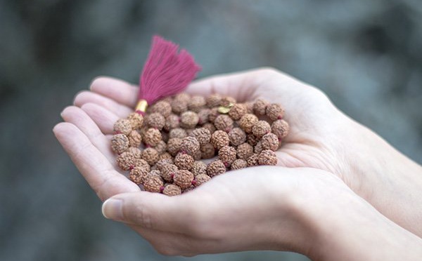 SYMBOLISME DANS L'HISTOIRE DE L'ÂNE QUI A ATTEINT LA MOKSHA EN TRANSPORTANT DES PERLES DE RUDRAKSHA