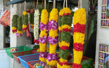 FLEURS OFFERTES AUX DIEUX ET DÉESSES DANS LA POOJA