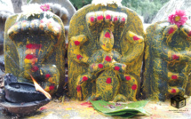 NAGESHWAR DIEU DES SERPENTS