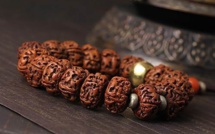 RUDRAKSHA : L'OEIL DE SHIVA