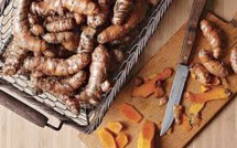 POURQUOI LE CURCUMA EST-IL IMPORTANT DANS LA CUISINE INDIENNE ?