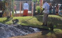 AU COEUR DE LA PÉRIODE DES MARCHES SUR LE FEU