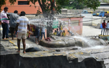 UNE DIVINITÉ DE 300 TONNES SE FAUFILE DANS LES RUES DE BANGALORE 