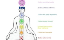 7 CHAKRAS QUE TOUT LE MONDE DEVRAIT SAVOIR 