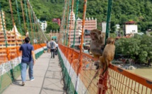 INDE : UNE FRANÇAISE ARRÊTÉE POUR AVOIR TOURNÉ UNE VIDÉO DÉNUDÉE SUR UN PONT SACRÉ 