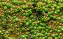 CURRY DE LENTILLES AUX PETITS POIS 