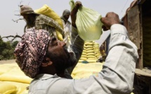 INDE : DES CHALEURS RECORD FRAPPENT L'INDE, LES HABITANTS SE PROTÈGE D'UNE CANICULE HISTORIQUE INDE : DES CHALEURS RECORD FRAPPENT L'INDE, LES HABITANTS SE PROTÈGE D'UNE CANICULE HISTORIQUE