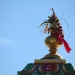 IMG_9644 IMG_9644