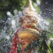 IMG_9660 IMG_9660