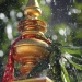 IMG_9663 IMG_9663