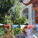 IMG_9671 IMG_9671