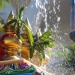 IMG_9685 IMG_9685