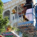 IMG_9686 IMG_9686